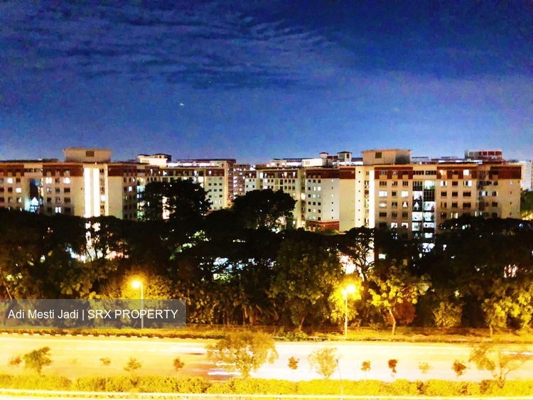 Blk 142 Pasir Ris Street 11 (Pasir Ris), HDB 5 Rooms #177672022